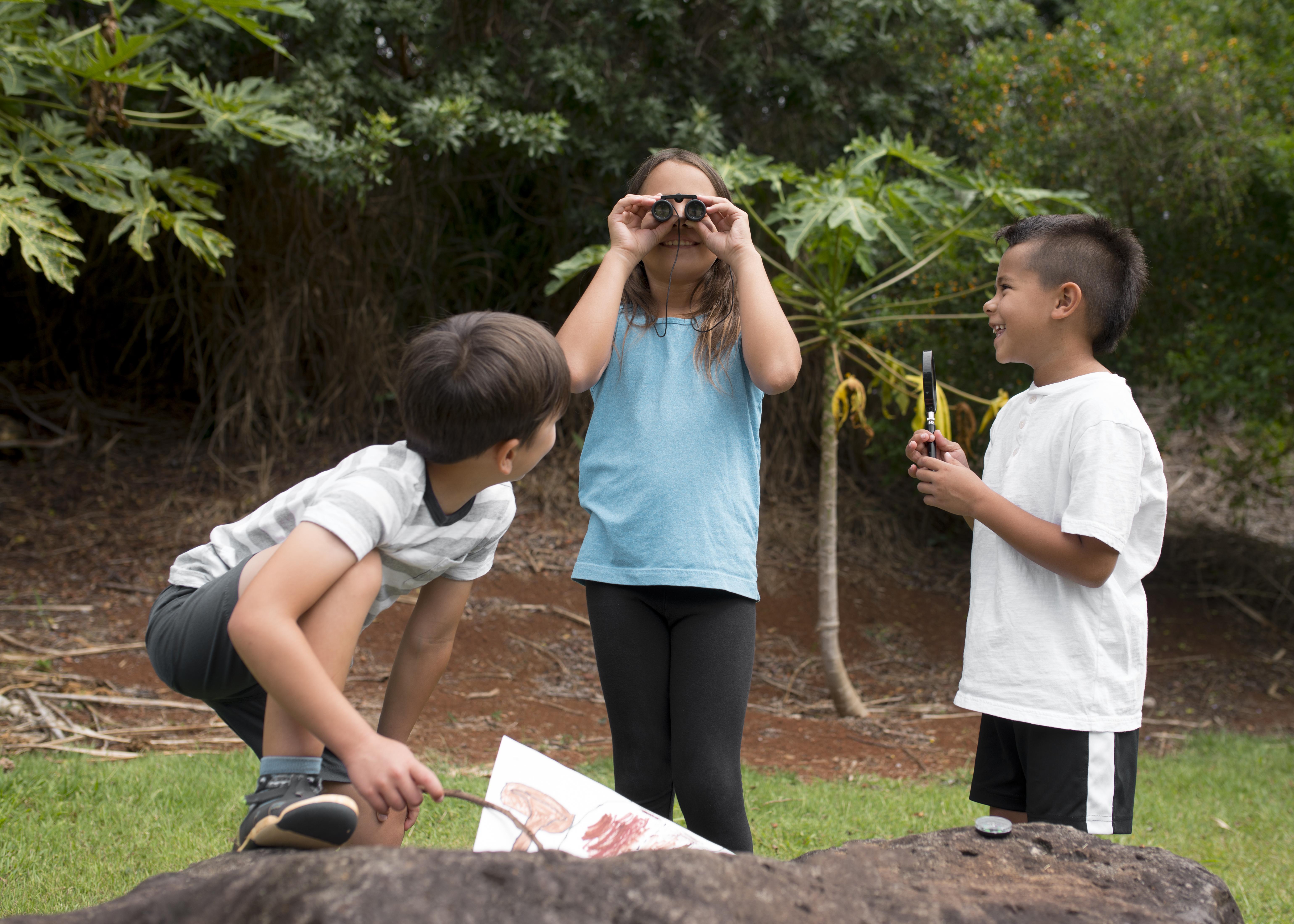 Literasi dan Kelestarian Lingkungan: Membangun Kesadaran untuk Masa Depan Hijau